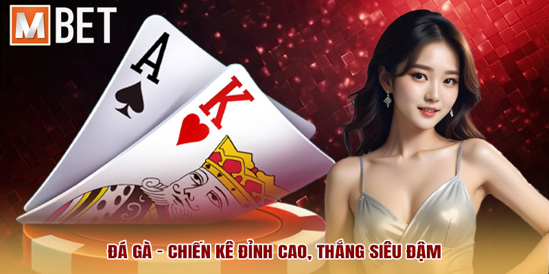 Đá gà - Chiến kê đỉnh cao, thắng siêu đậm